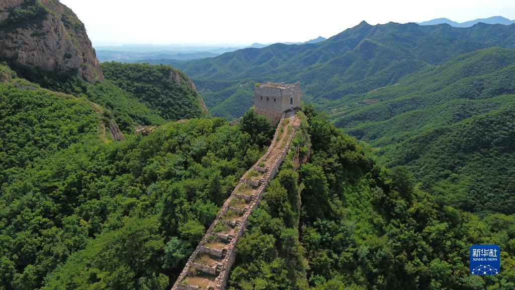赚金币斗牛牛